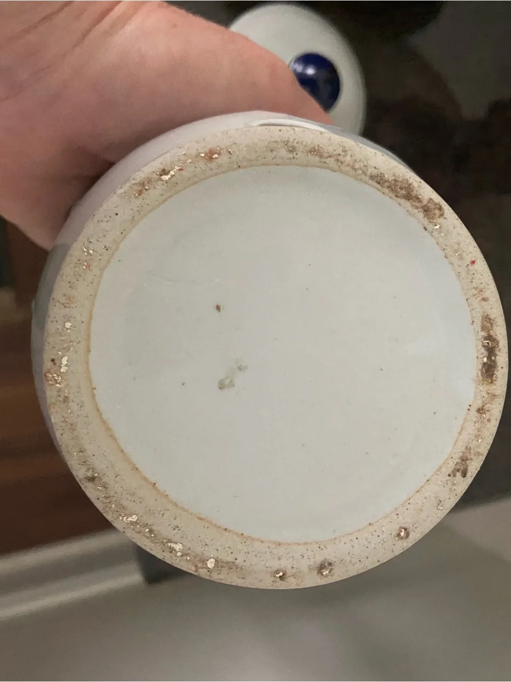 Source Unknown White Ceramic Garlic Keeper with Blue Trim
